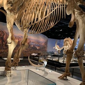 Meet your Posher, Ana